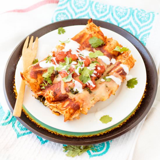 Chicken or Vegetarian Enchiladas - Recipe photo by pipercooks