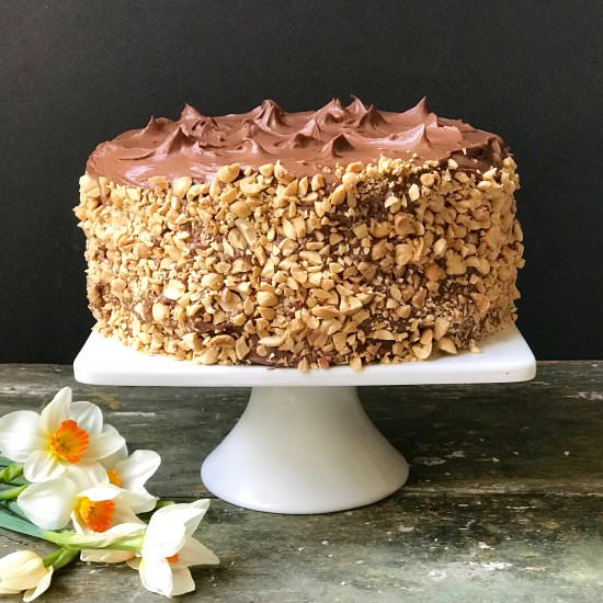 Chocolate Peanut Layer Cake - Recipe photo by the good eats co