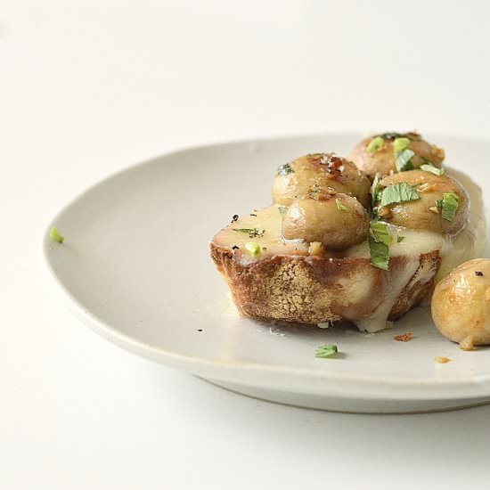 Mushroom and taleggio crostini - Recipe photo by your DIY Family