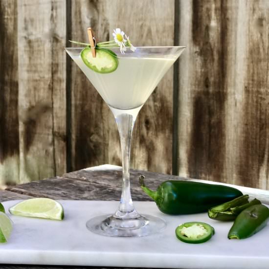Jalapeño Tequila Gimlet - Recipe photo by simmerandsauce