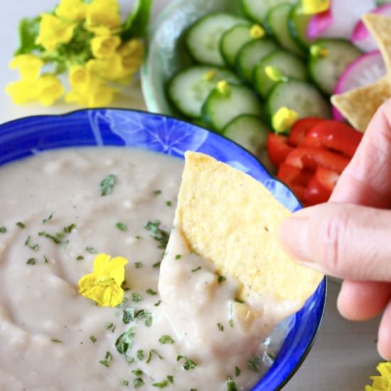 Vegan French Onion Dip - Recipe photo by rhiansrecipes