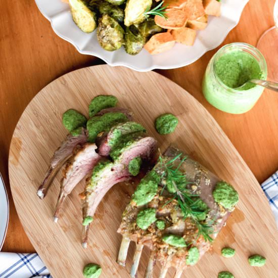 Rack of Lamb with Mint Pesto - Recipe photo by anunblurredlady