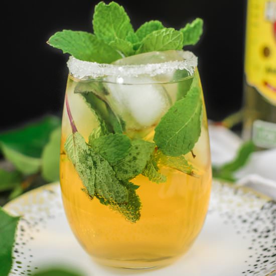 Sparkling Fruit Juice Mojitos - Recipe photo by pepperspennies