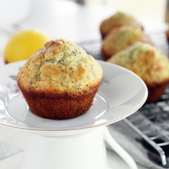 Lemon Chia Seed Muffins - Recipe photo by Buy This Cook That