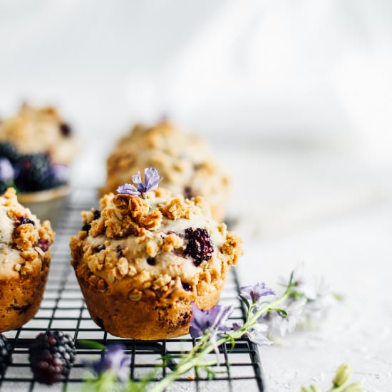 Blackberry Rhubarb Crumble Muffins - Recipe photo by thecollegehousewife