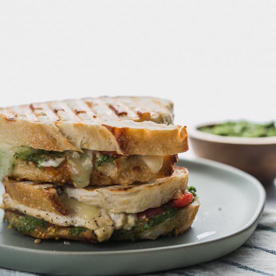 Italian Chicken Paninis - Recipe photo by 3ScoopsofSugar