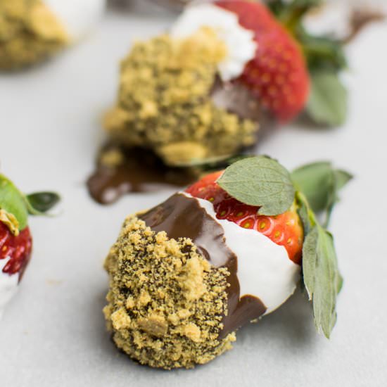 Smores Covered Strawberries - Recipe photo by tabithatalksfood