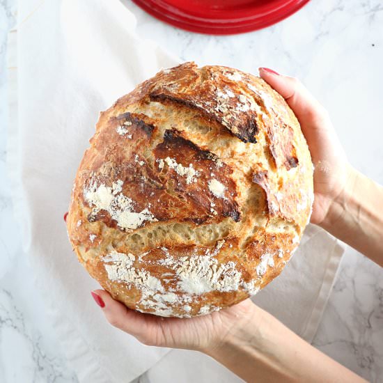 Easy Classic No-Knead Bread - Recipe photo by Dels cooking twist