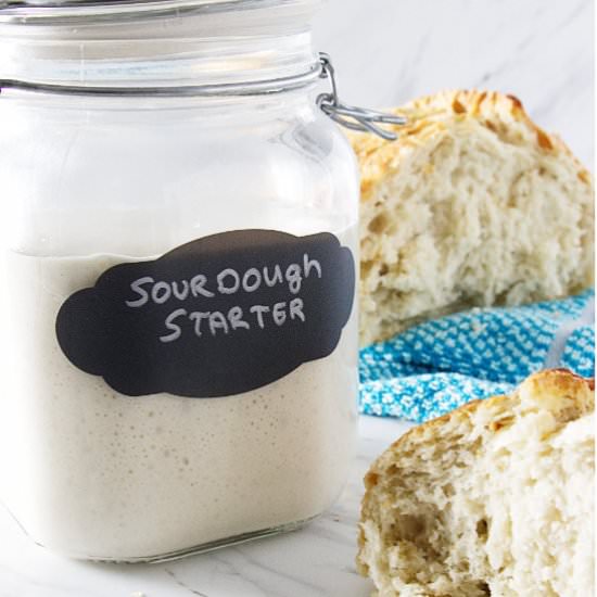 sourdough starter - Recipe photo by Savorthebest