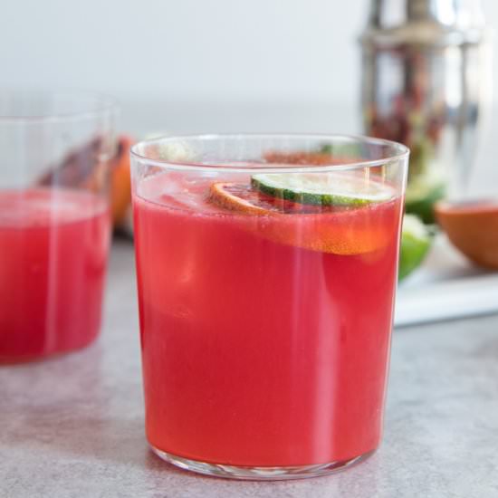 Blood Orange Gin and Tonic - Recipe photo by BourbonAndHoney