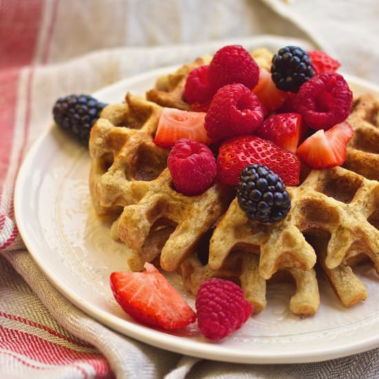 Seedy Sprouted Sourdough Waffles - Recipe photo by KneadingHome