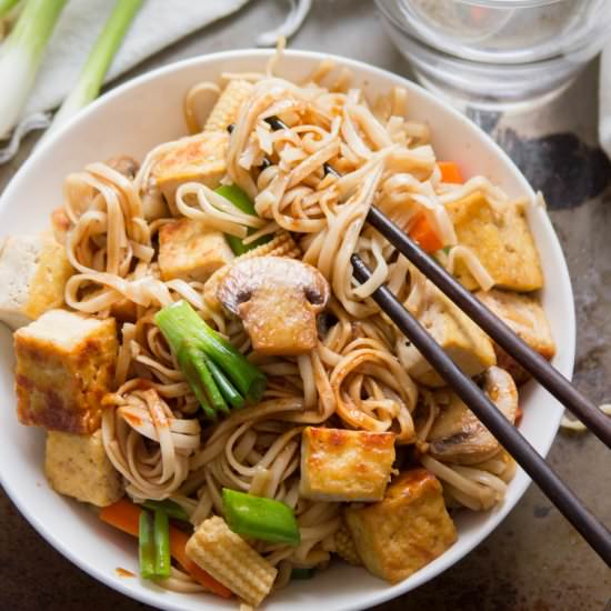 Vegan Vegetable Lo Mein - Recipe photo by Connoisseurus Veg