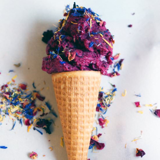 Wild Blueberry Lemon Nice Cream - Recipe photo by AmyGorinNutrition