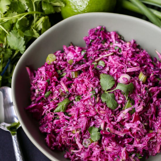 Purple Paleo Mayo-Free Coleslaw - Recipe photo by CleanEatingVeggieGirl