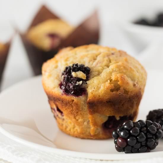 White Chocolate Blackberry Muffins - Recipe photo by theunlikelybaker