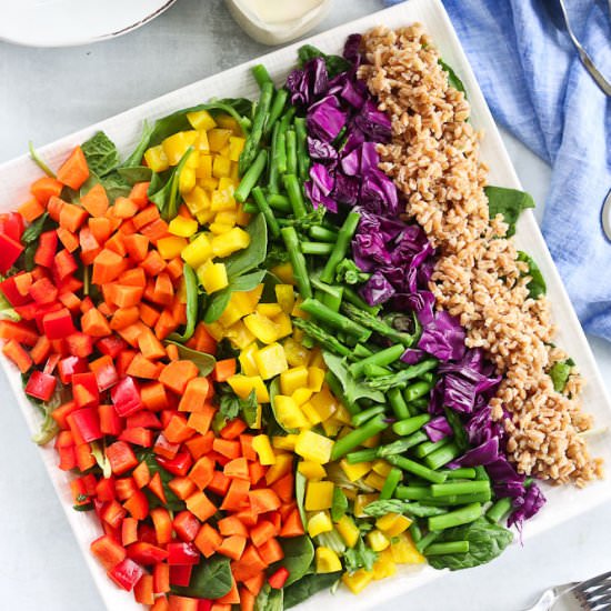 Rainbow Farro Salad - Recipe photo by Happy Healthy Mama