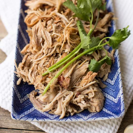 Instant Pot Kalua Pork - Recipe photo by Kiwi and Carrot