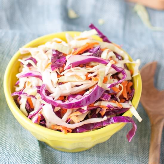Rainbow Coleslaw - Recipe photo by Nourish Nutrition Co