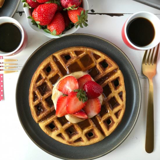 Coconut Flour Waffles - Recipe photo by A Life of Happenstance