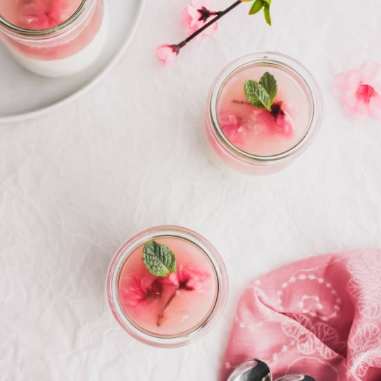 Sakura Cherry Blossom Panna Cotta - Recipe photo by siftandsimmer