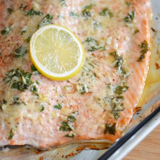 Parmesan Steelhead Trout - Recipe photo by FindingZest