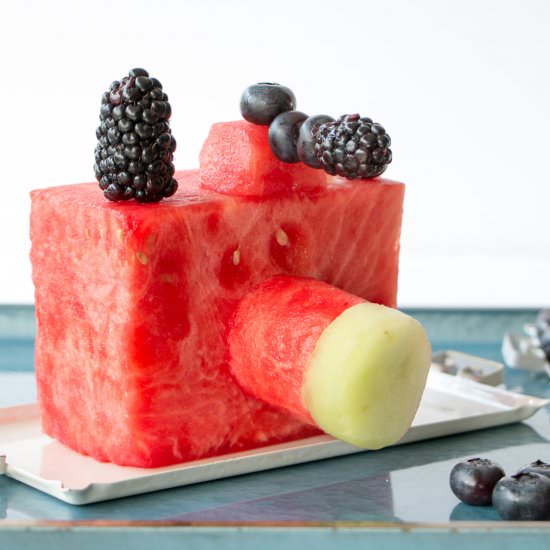 watermelon camera fruit tray - Recipe photo by Chewable Structures