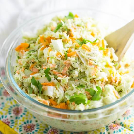 Creamy Southern Coleslaw - Recipe photo by thegraciouswife