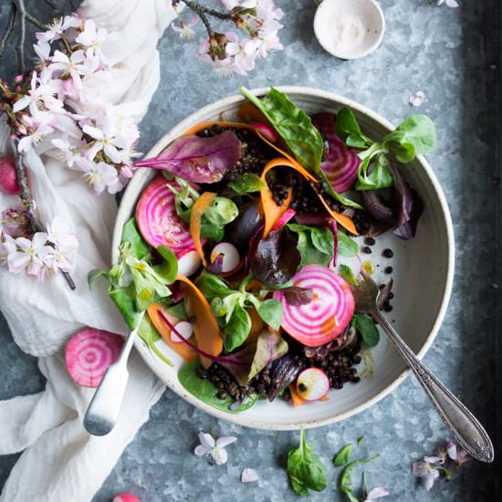 Vegan lentil salad with roasted veg - Recipe photo by TheLittlePlantation
