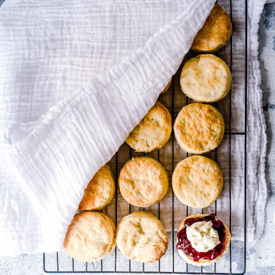 3 Ingredient Simple Scones - Recipe photo by You Totally Got This