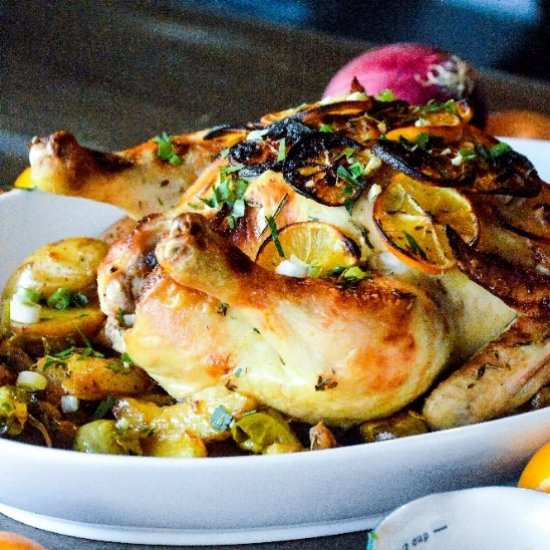 Lemon Herb Roasted Chicken - Recipe photo by Messy Cutting Board