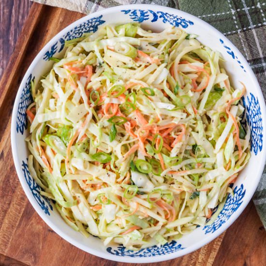 Granny Smith Apple Slaw - Recipe photo by TaraMar