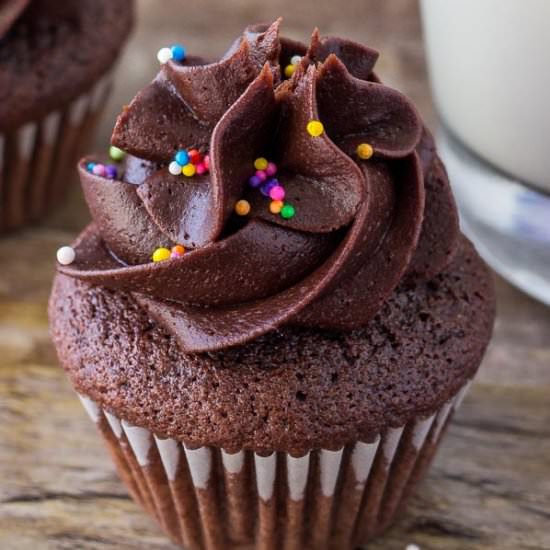 Mini Chocolate Cupcakes - Recipe photo by JustSoTasty