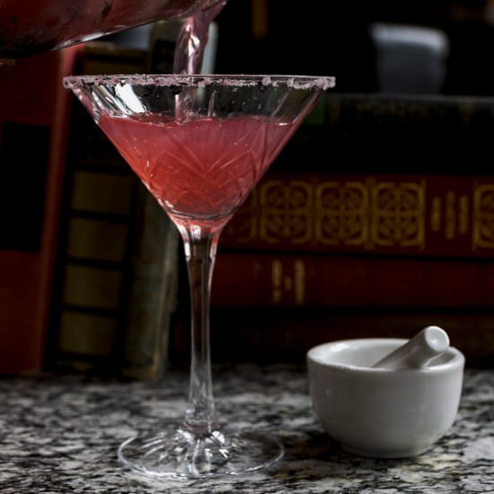 hibiscus vodka sidecar - Recipe photo by Recipe Fiction