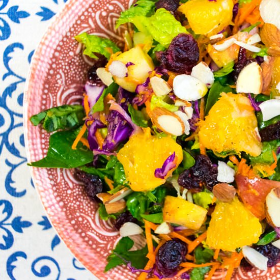 Orange Apple & Cranberry Salad - Recipe photo by mghthakkar