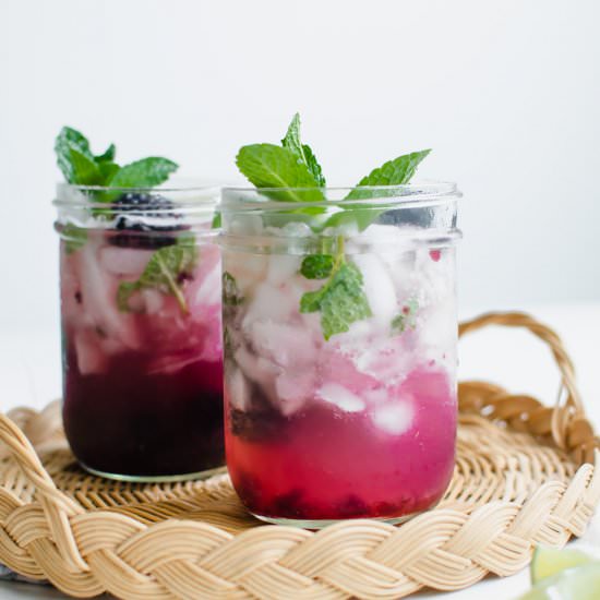 Blackberry Lime Spritzer - Recipe photo by SweetCayenne