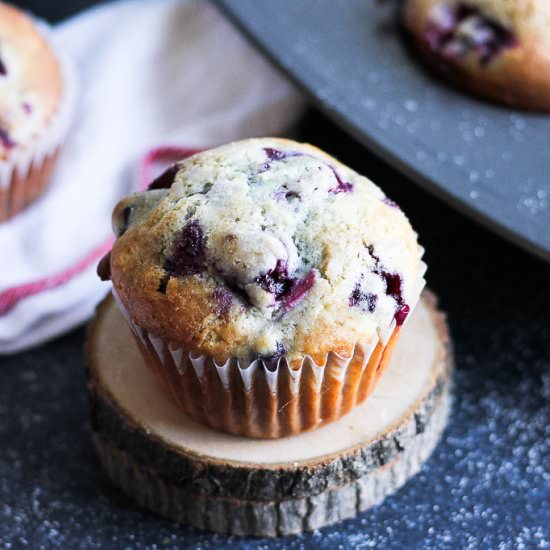 Butter blueberry muffins - Recipe photo by Berrymaple