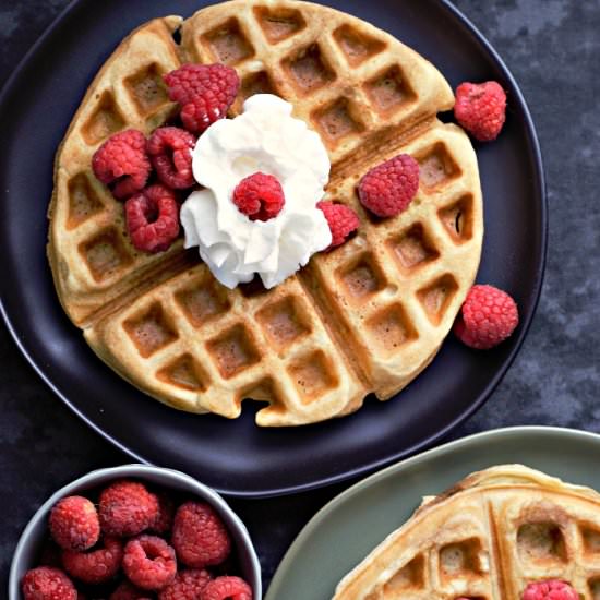 Homemade Belgian Waffles for Two - Recipe photo by ZonaCooks