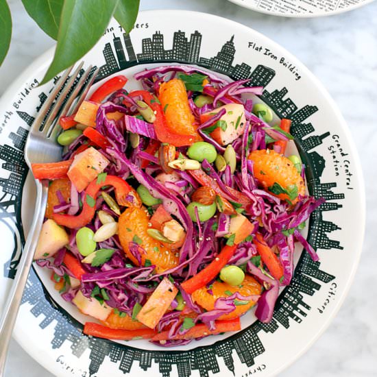 Red Cabbage Salad - Recipe photo by twoofakindcooks