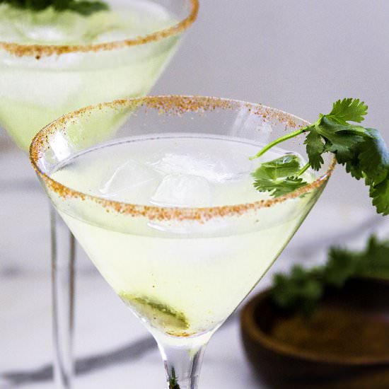 Low-Carb Spicy Margarita - Recipe photo by Appetite For Energy