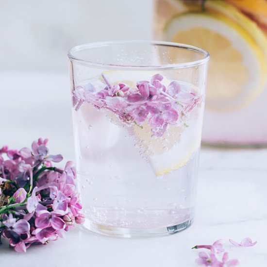 Lilac, Ginger and Citrus Cordial - Recipe photo by hellonatural