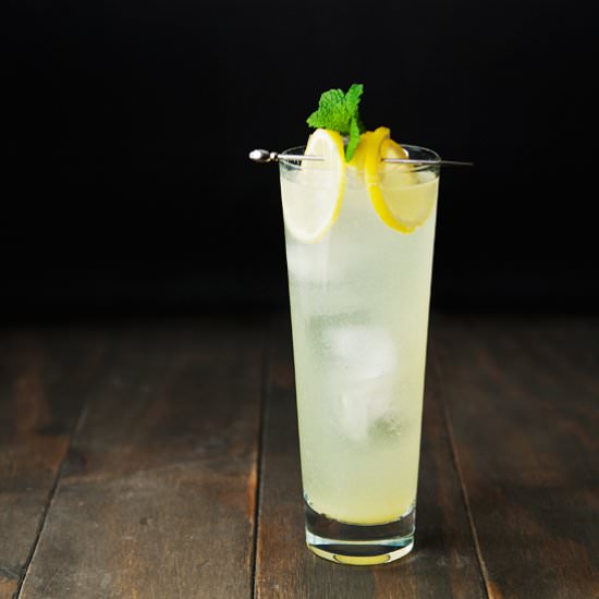 Fresh Ginger Beer - Recipe photo by kaweah