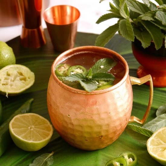 Mexican Mule Cocktail - Recipe photo by BirdsParty