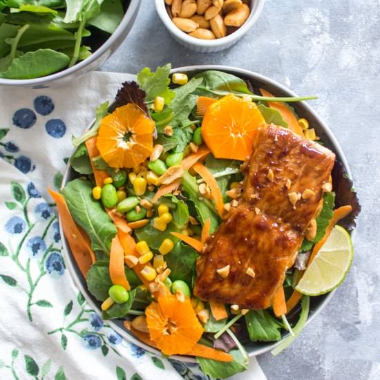 Easy Hoisin Glazed Salmon Meal Prep - Recipe photo by Carmy @ carmyy.com