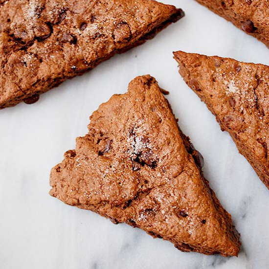 Chocolate chocolate chip scones - Recipe photo by evabakes