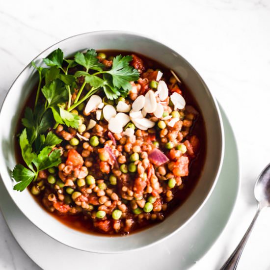 5-Minute Tomato Lentil Stew - Recipe photo by The Green Creator