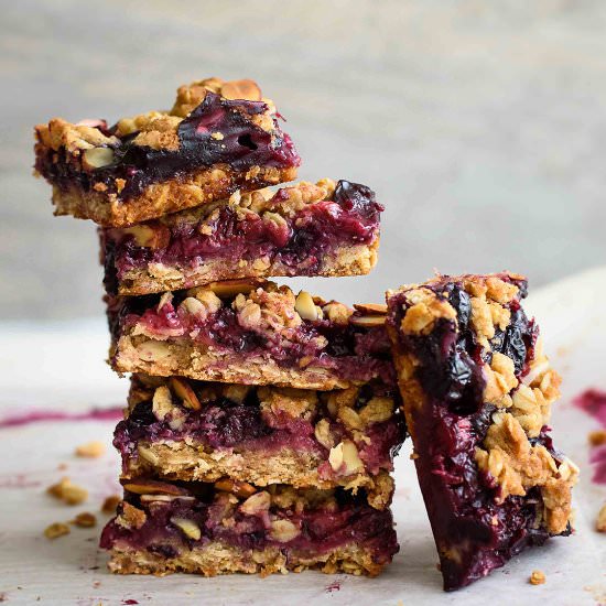 Berry Oatmeal Crumb Bars - Recipe photo by pepperdelight