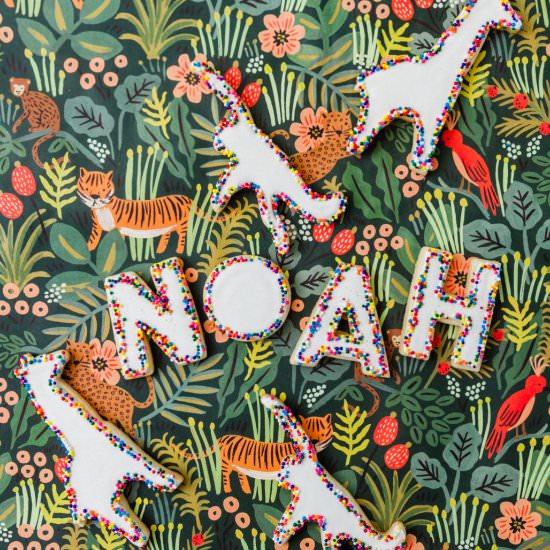 Jungle Sugar Cookies - Recipe photo by The Sweet Nerd