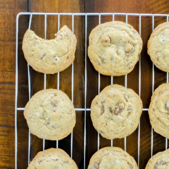 Champion Chocolate Chip Cookie - Recipe photo by palouse_brand