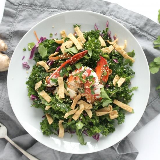 Asian Kale Salad with Lobster - Recipe photo by jennyrawn