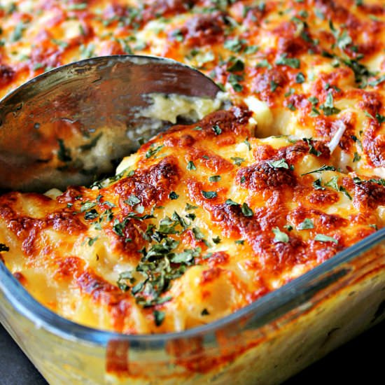 Chicken Alfredo Bake - Recipe photo by featsoffeasts